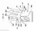 Fig. 22 - Sport performance gloves