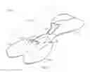 Fig. 02 - PERSONAL WATERCRAFT WITH MULTIPLE HULLS