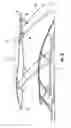 Fig. 13 - Stowable bimini top