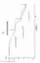 Fig. 04 - Crystalline pharmaceutical and methods of preparation and use thereof
