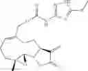 Fig. 45 - Melampomagnolide B derivatives
