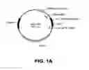 Fig. 02 - Humanized antibodies specific to the protofibrillar form of the beta-amyloid peptide