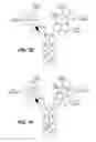 Fig. 04 - Humanized and affinity matured antibodies to FcRH5 and methods of use