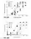 Fig. 50 - Humanized and affinity matured antibodies to FcRH5 and methods of use