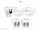 Fig. 07 - A METHOD OF INCREASING GIPCR SIGNALIZATION IN THE CELLS OF A SCOLIOTIC SUBJECT