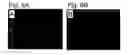 Fig. 07 - Pluripotent stem cell that can be isolated from body tissue