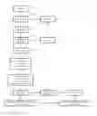 Fig. 01 - DETECTION KIT FOR IDENTIFYING GENOTYPE IN DEPRESSION PATIENTS AND METHOD OF USING THE SAME