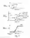 Fig. 05 - Control device for internal combustion engine