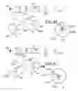Fig. 35 - Method and system for aligning a point of aim with a point of impact for a projectile device
