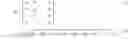 Fig. 02 - Adaptive calibration and adaptive transformation matrices for ambient light sensors