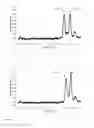 Fig. 05 - Method and device for the identification of gases