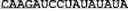 Fig. 40 - Nucleotide sequences, nucleic acid sensors and methods thereof