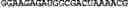 Fig. 45 - Nucleotide sequences, nucleic acid sensors and methods thereof