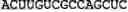 Fig. 46 - Nucleotide sequences, nucleic acid sensors and methods thereof