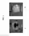 Fig. 02 - PAPER-BASED IMMUNOASSAY WITH POLYMERIZATION-BASED SIGNAL AMPLIFICATION