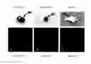 Fig. 02 - Visualization of bacterial colonization and biofilm formation on orthopaedic trauma explants