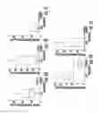 Fig. 02 - Personalized myeloma detection