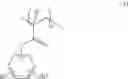 Fig. 02 - Polymer, chemically amplified positive resist composition and patterning process