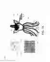 Fig. 07 - Dress form for three-dimensional drawing inside virtual reality environment
