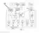 Fig. 02 - CITYWIDE PARKING SYSTEM AND METHOD