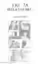 Fig. 10 - Electronic device for displaying a plurality of images and method for processing an image