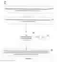 Fig. 09 - SYSTEM AND METHOD FOR PROVIDING ASSISTANCE FOR COOKING FOOD ITEMS IN REAL-TIME