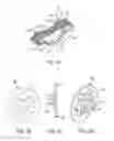 Fig. 12 - Method for fabricating simulated tissue structures by means of multi material 3D printing