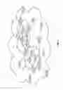 Fig. 02 - Multiple topology-transparent zones having a common edge node