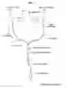 Fig. 02 - Earphone device
