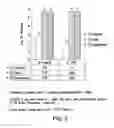 Fig. 06 - BOTANICAL ANTIMICROBIAL COMPOSITIONS