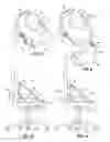 Fig. 06 - Rotatable seat cradle