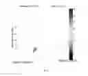 Fig. 06 - Method and system for predicting of acute hypotensive episodes
