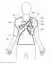 Fig. 01 - BIOSIGNAL DETECTING GARMENT