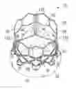 Fig. 01 - Prosthetic heart valve
