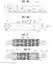 Fig. 06 - Prosthetic heart valve