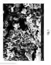 Fig. 02 - Methods for Making Compound Particles