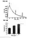 Fig. 07 - Drug treatment of overactive bladder