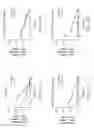 Fig. 22 - Oligomer-opioid agonist conjugates