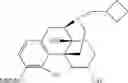 Fig. 34 - Oligomer-opioid agonist conjugates