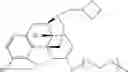 Fig. 44 - Oligomer-opioid agonist conjugates