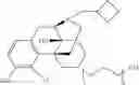 Fig. 53 - Oligomer-opioid agonist conjugates