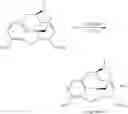 Fig. 96 - Oligomer-opioid agonist conjugates