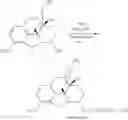 Fig. 98 - Oligomer-opioid agonist conjugates