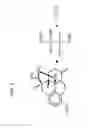Fig. 02 - PHARMACEUTICAL COMPOSITIONS