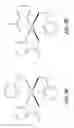 Fig. 12 - CHROMIUM HISTIDINATE AND CHROMIUM PICOLINATE COMPLEXES