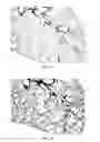 Fig. 02 - Compositions and methods for treatment of short telomere disorders