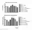 Fig. 02 - PROBIOTIC THERAPIES FOR AUTISM