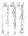 Fig. 02 - COMPOSITIONS AND METHODS COMPRISING YEAST ORGANISMS AND LIPID EXTRACTS THEREOF
