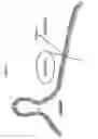 Fig. 02 - DIURETIC AND NATRIURETIC POLYPEPTIDES