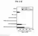 Fig. 33 - PROSTATE-ASSOCIATED ANTIGENS AND VACCINE-BASED IMMUNOTHERAPY REGIMENS